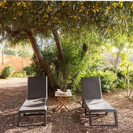 Home2book Amazing Teide View & Terrace בית נופש סאוסאל