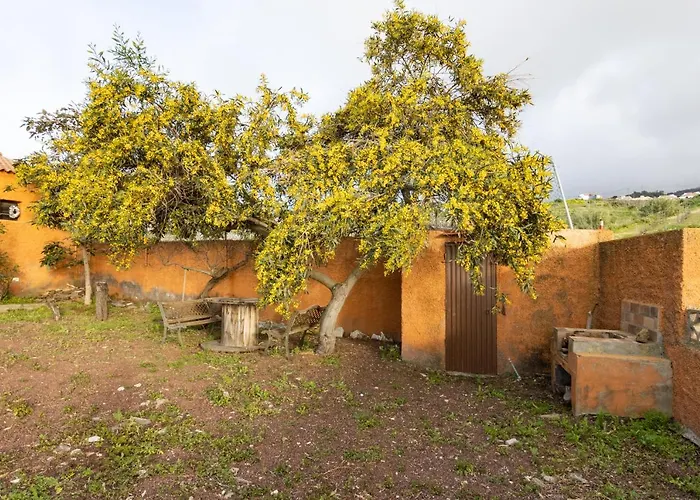 Casa vacanze Home2book Amazing Teide View & Terrace