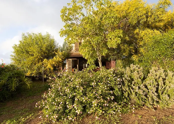 Home2book Amazing Teide View & Terrace Holiday home Sauzal