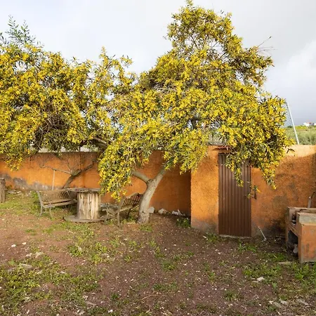 Holiday home Home2book Amazing Teide View & Terrace