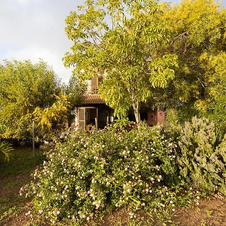 Home2book Amazing Teide View & Terrace 度假居 绍萨尔