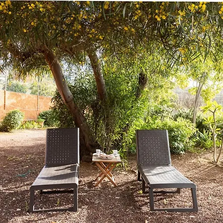 Home2book Amazing Teide View & Terrace Holiday home Sauzal