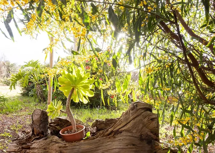 Semesterbostad Home2book Amazing Teide View & Terrace Sauzal